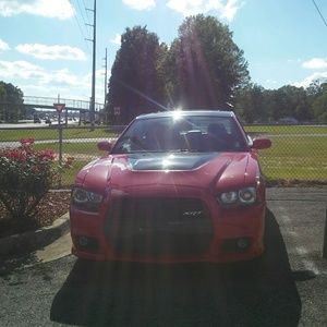 Meet your Posher, Tara